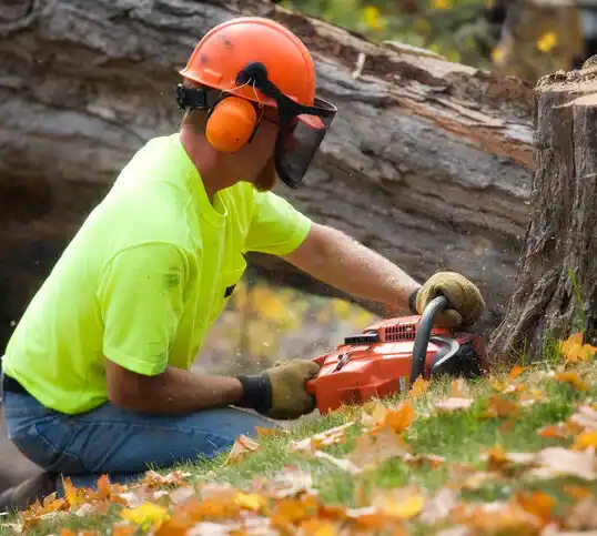 tree services New Buffalo